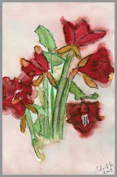 001 Amaryllis - Akvarel p� papir 30 x 20 cm - Alettes Maleri (akvarel og akryl)